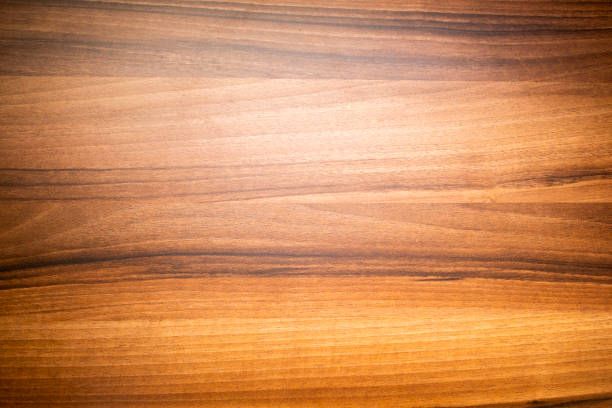 WhatsApp Image 2024-10-02 at 7.00.53 PM (1)