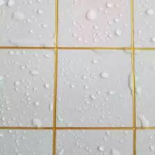 WhatsApp Image 2024-10-02 at 7.04.50 PM